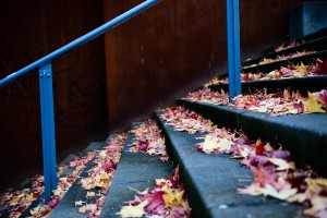 Bochum_Westpark_20131027_0021