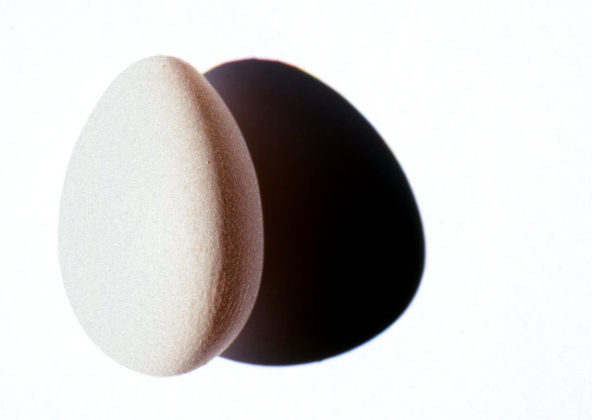 Essay bob blume 07 image