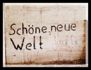 Essay bob blume image